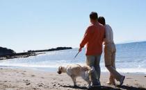 散步的技巧有哪些？散步的好处