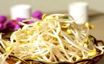 预防冬季老人高血压吃黄豆芽