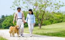 老人经常散步运动 好处多多