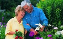 老人步行有助于提升大脑灵活