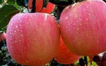 吃苹果有哪些好处 预防老年人中风