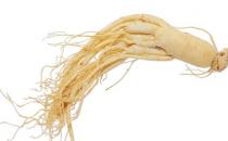 老年人吃人参要注意什么