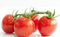 上班族吃哪些食物养生？