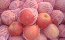 苹果有什么营养？苹果皮有营养吗？