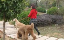 最简单有效的冬季减肥方法