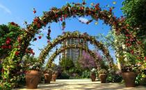 花架的搭配技巧-花架的保养与清洁