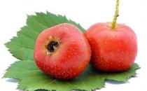 女人吃酸好处多 常见的酸味食物推荐