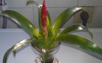 健康用电脑的方法有哪些