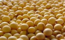 女人吃什么少得病？女性健康饮食方案推荐