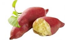 红薯营养价值高 盘点红薯的7大养生功效