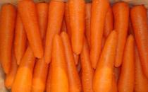 四种萝卜各有什么营养？红白萝卜混吃是禁忌