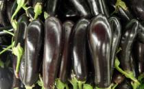 茄子秧可治疗冻疮 盘点茄子的七大功效