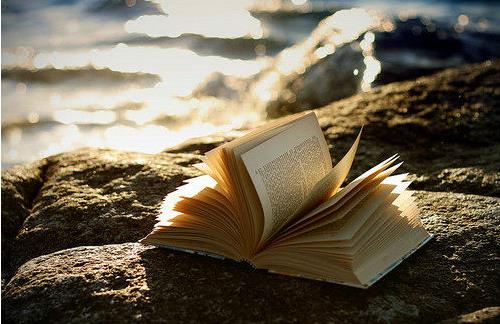 有益于中小学生眼睛的食物