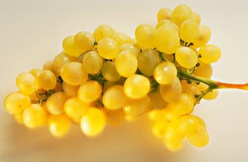 电脑一族养生须知 维生素护眼贡献大