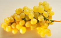 电脑一族养生须知 维生素护眼贡献大