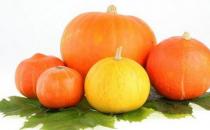 南瓜的营养价值高但不能与6种食物同吃