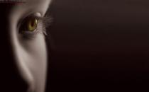 电脑族护眼的必备工作