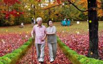 老人如何长寿？常做三件事