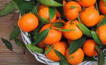 金秋十月吃橘子要记牢六大禁忌