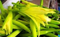 黄花菜中毒如何避免