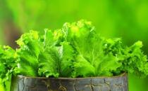 冬季排毒吃什么好？11种食物吃掉体内毒素