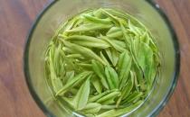 多喝绿茶帮你拒绝电脑辐射