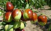 电脑一族必备的三种微量元素