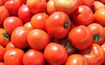 你不可不知的十种元气青春食物