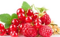 电脑族防辐射食物一览