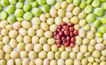 不适宜吃粗粮的十类人