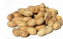 警惕！7种人吃花生短命