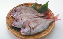 鱼类的5大功效你知道吗？