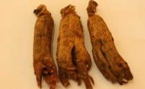 益智阵痛抗癌 盘点高丽参的功效与作用