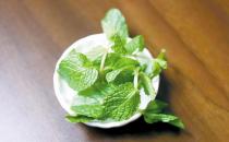 薄荷清新 迷迭芳香 叶子香料巧手烹