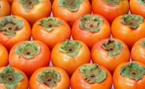 柿子不宜空腹吃 盘点吃柿子的12个禁忌