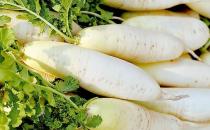 冬季吃什么美白？冬季美白食物推荐