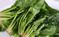 秋季十种食物帮你护发