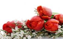 巧用鲜花打造水嫩美肌的美容护肤小窍门