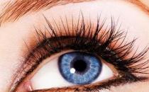 盘点关于假睫毛的实用指南