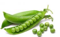 美白肌肤离不开的几款蔬菜