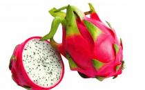 十二大怪咖水果 美容功效棒棒哒