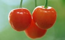 吃什么美白?美白食品助你吃出白皙肌肤