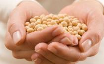 多吃4种食物可延缓衰老永葆青春