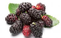 四大生发食谱 还你美丽秀发