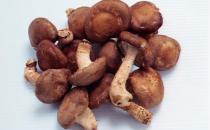 揭秘！厨房里隐藏的4大养发高手