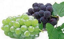 利用果皮也能让肌肤白皙透亮