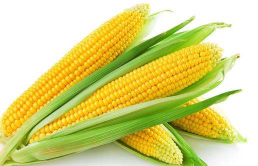 防止掉发厉害的方法 食疗绝对靠谱