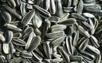 最有益皮肤健康的7种食物