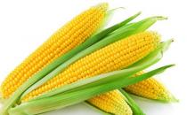 防止掉发厉害的方法 食疗绝对靠谱