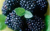 女性吃这6种食物缓解衰老